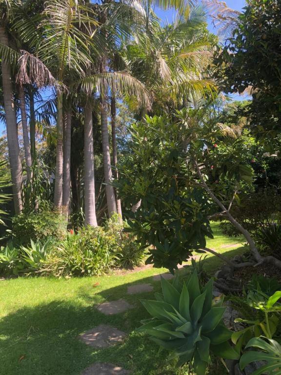 The Silver Bream Motel & Self Contained Units Mallacoota Bagian luar foto